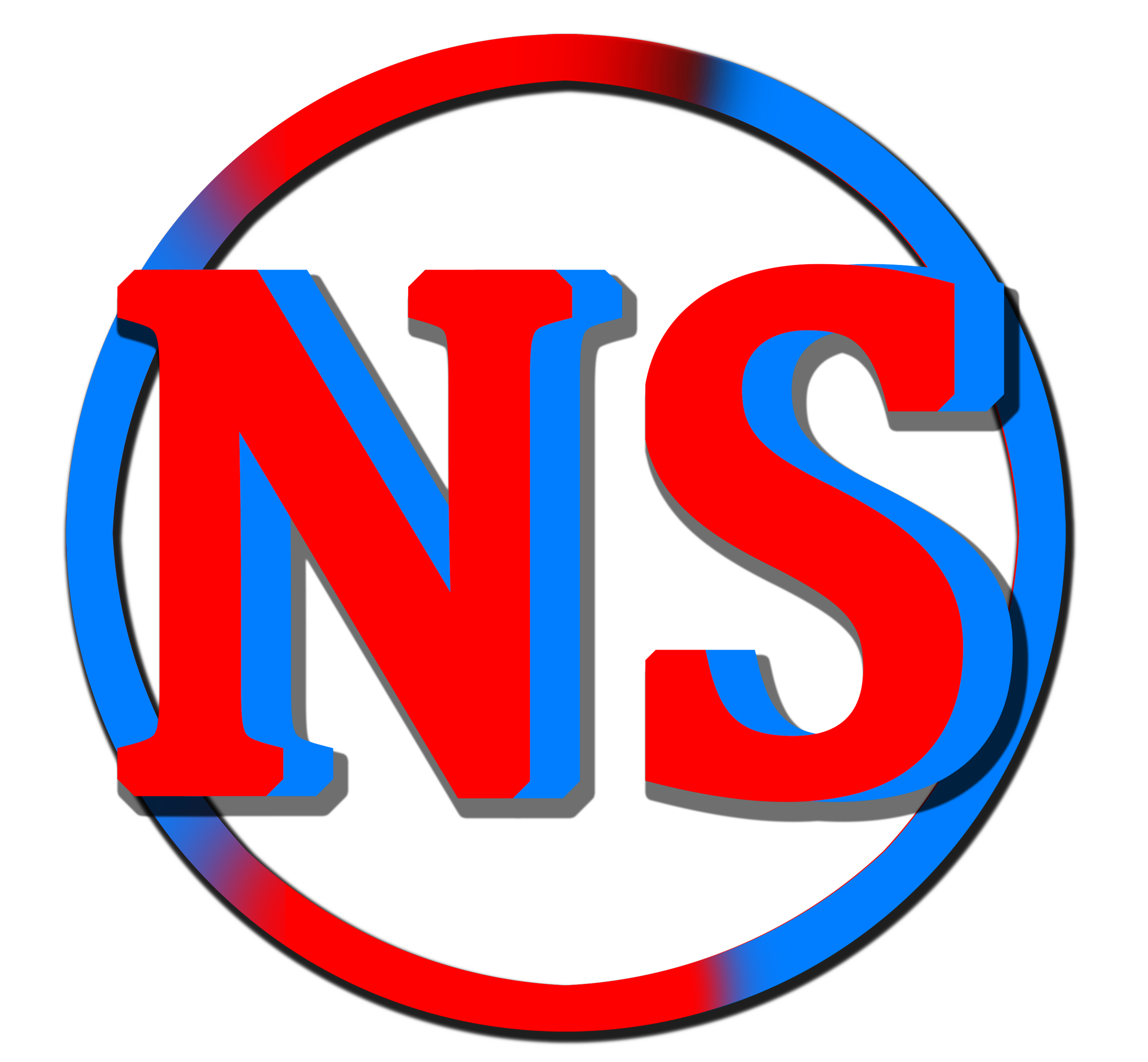 NS Logo